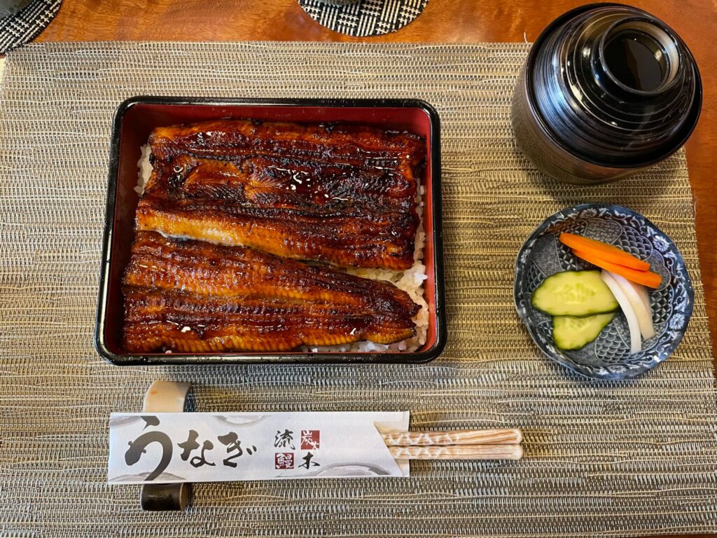 うなぎ流木 画像